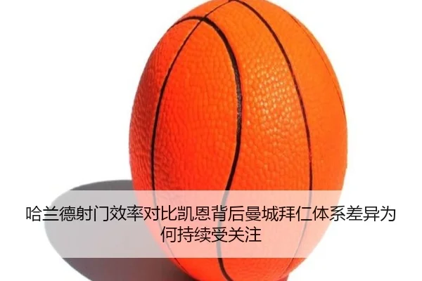 img_1783706669197_618_1_788.jpg